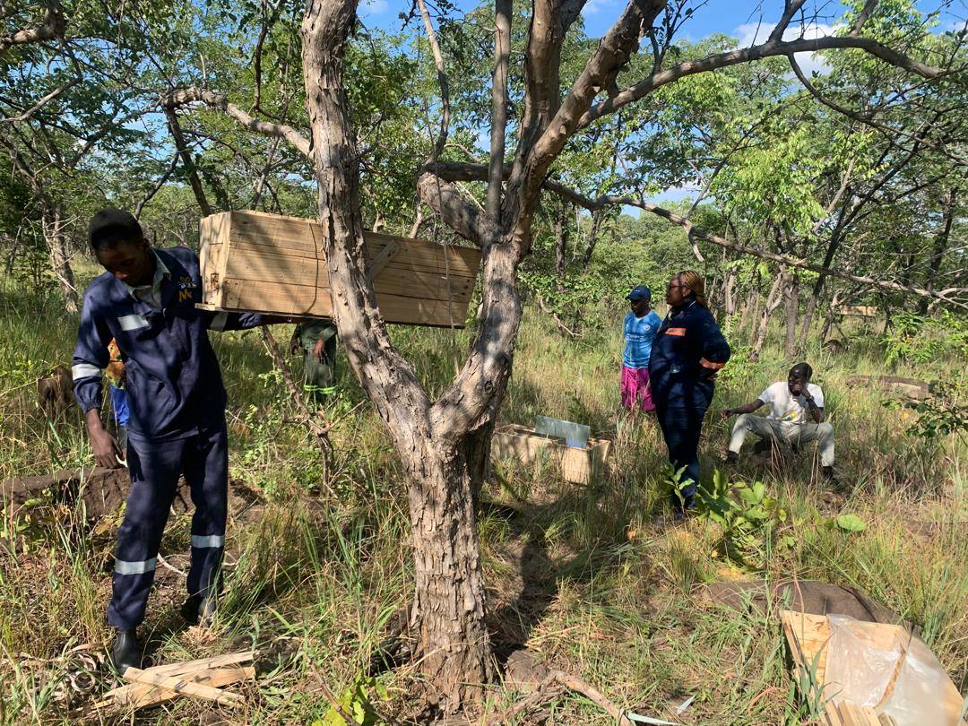 Beekeepers at Work